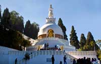 hotels in darjeeling